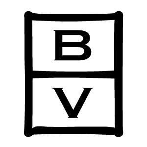 Bruno Vassari México
